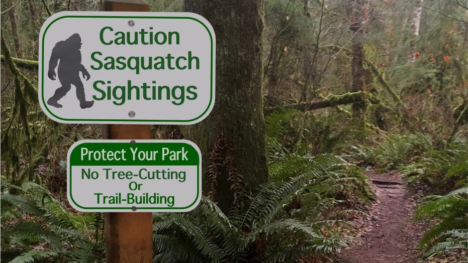 Sasquatch watch Bigfoot 'sightings' over the years Fox News
