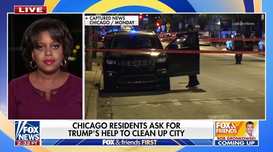 Chicago resident welcomes Trump's help to clean up city: 'Somebody has to care about us!'
