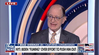 Any Democrat nominee has a ‘decent chance’ against Trump: Rep. Brad Sherman