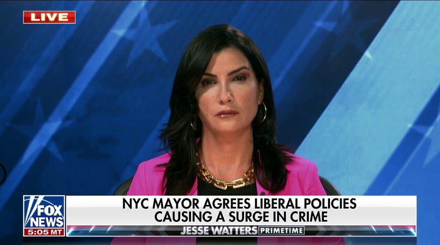 Dana Loesch rips Democrats' excuses for crime surge following bloody Easter weekend