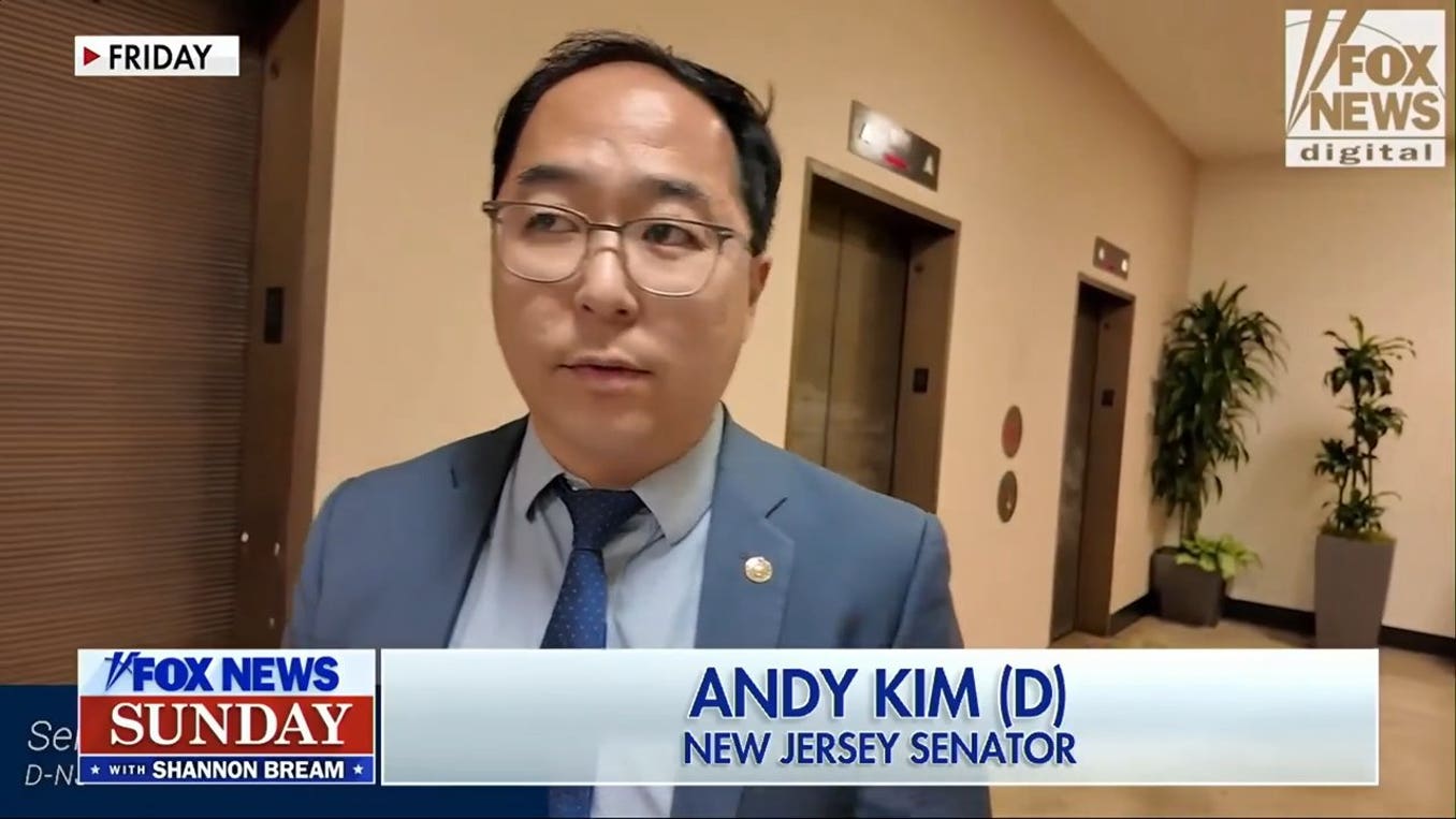 New Jersey voter rolls spark election integrity debate over non-citizens