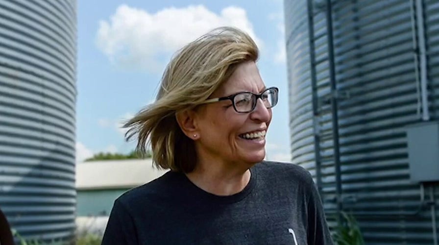 Democrats face backlash from both sides over push to overturn Iowa House race