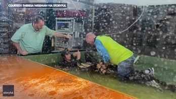 Alligator attacks handler at child's birthday party