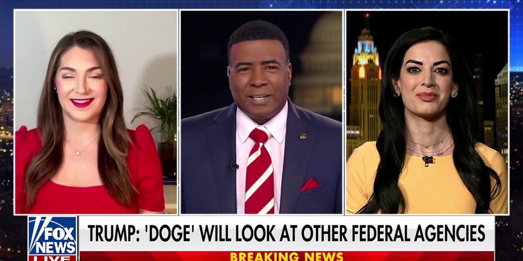 Democratic Party has ‘cried wolf a hundred times over,’ strategist says