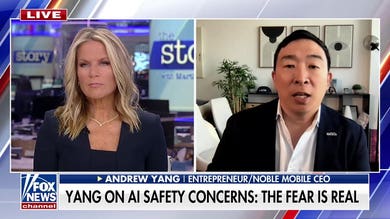 Andrew Yang warns of 'very real' possibility of AI doom