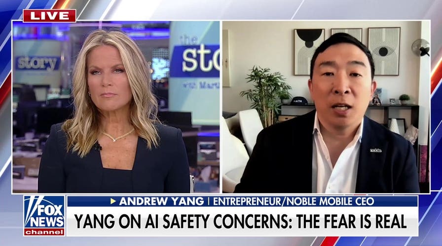 Andrew Yang warns of 'very real' possibility of AI doom