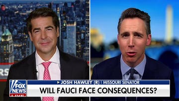 Fauci should be prosecuted; 'innocent people' don't plead the Fifth: Sen Josh Hawley