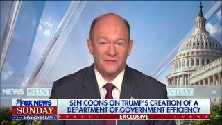 Dem senator reveals his amusement over appointment of Musk, Ramaswamy for DOGE - Fox News