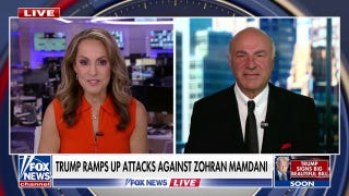 Kevin O'Leary voices concerns about New York's future if Mamdani wins
