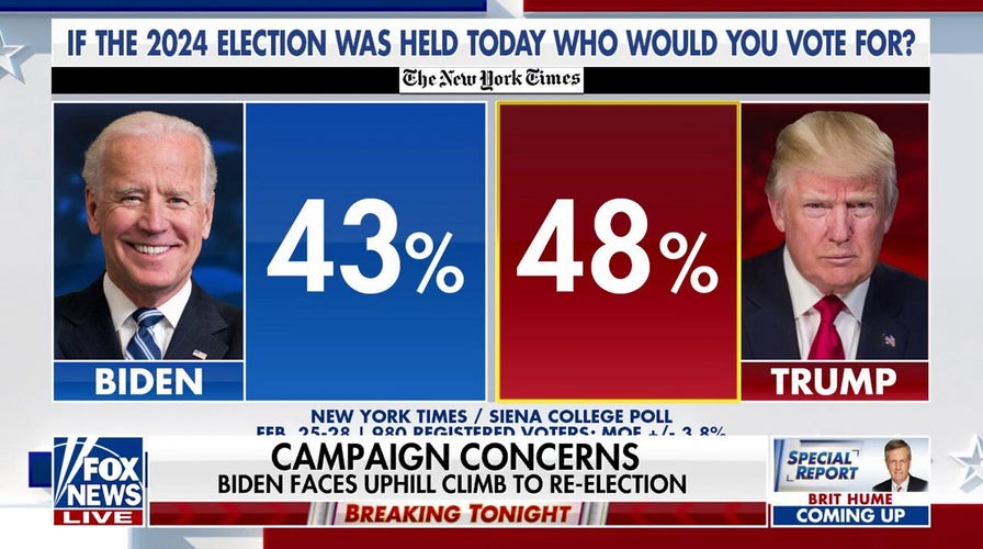 Biden Plans To Trigger Trump In New Aggressive Election Strategy Biden Plans To Trigger Trump In New Aggressive Election Strategy