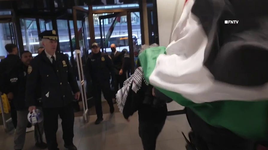 Pro-Palestinian agitators tempest  NYC concern  connected  Black Friday