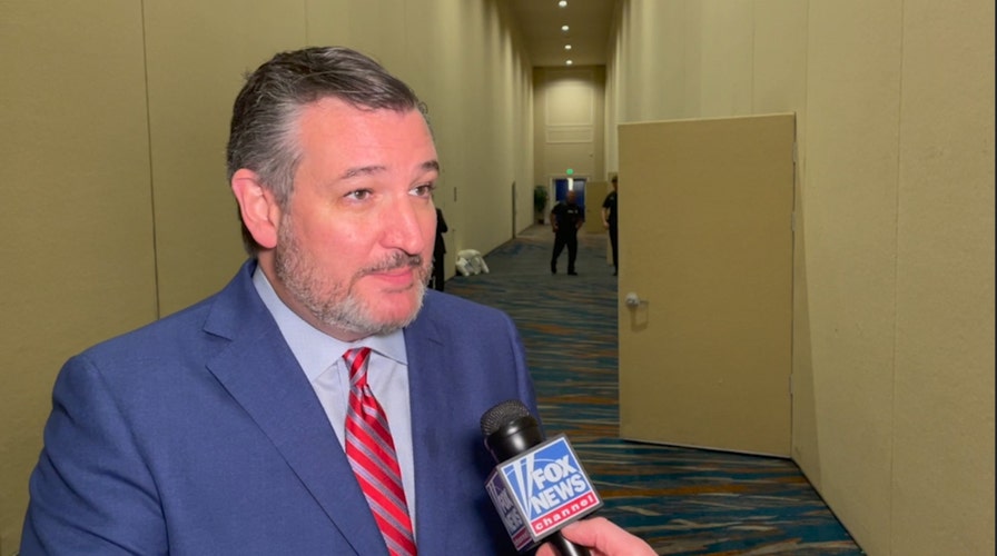 Sen. Ted Cruz (R-Texas) discusses whether Trump will run for president again in 2024