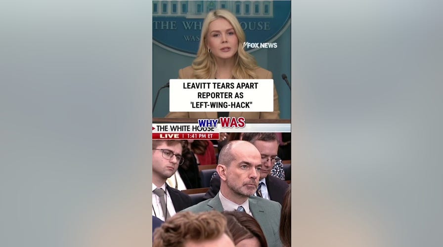 Leavitt tears apart reporter as 'left-wing hack'