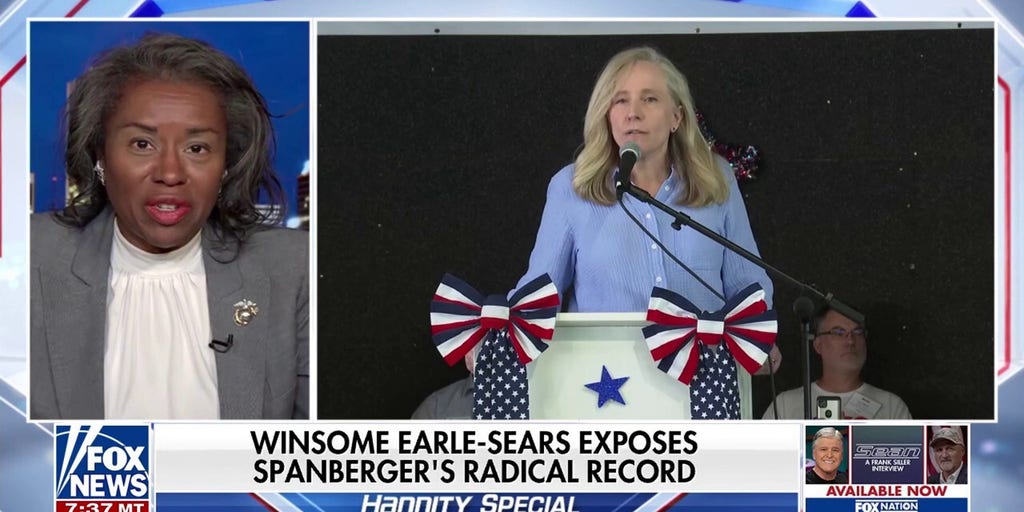 Virginia's gubernatorial race is going to turn on ideas, not money, GOP nominee says