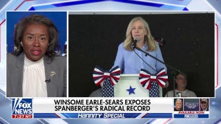 Virginia's gubernatorial race is going to turn on ideas, not money, GOP nominee says