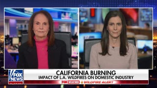 How employment has been impacted by LA wildfires - Fox News