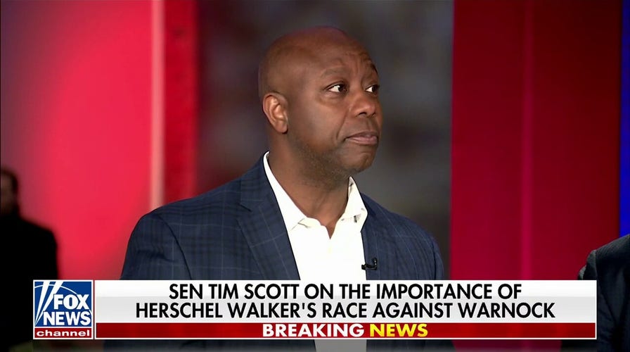 Sen Tim Scott on importance of Georgia Senate race: 'Days away' from putting the country on track