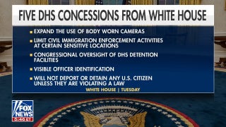 Senate in stalemate over DHS funding amid airport chaos