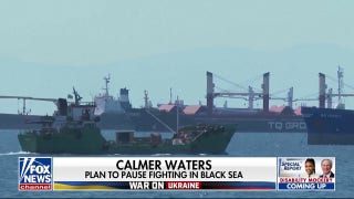 Calmer waters: Russia and Ukraine plan to pause fighting in Black Sea