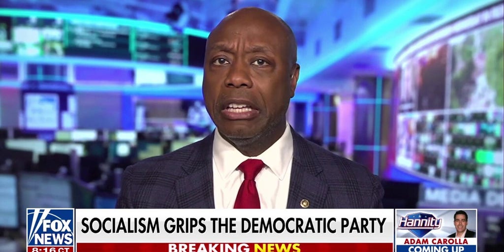 Lindsey Graham 'deserves your vote,' says Sen Tim Scott