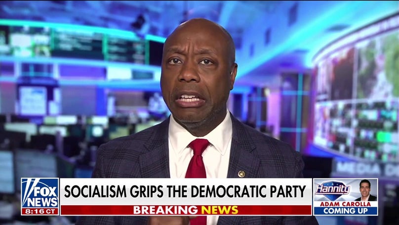 Lindsey Graham 'deserves your vote,' says Sen Tim Scott
