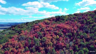 Fall foliage arrives in popular town as the seasons begin to change - Fox News