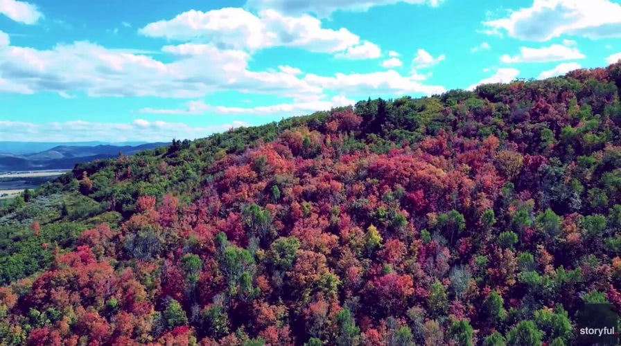 Fall foliage arrives in popular town as the seasons begin to change