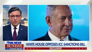 Mike Johnson: If we have to sanction the ICC as just Republicans, we will - Fox News