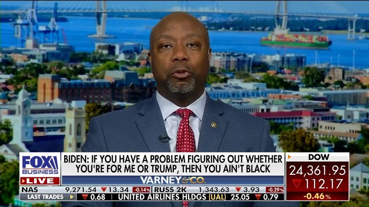 Sen. Tim Scott reacts to Joe Biden's comment on black voters