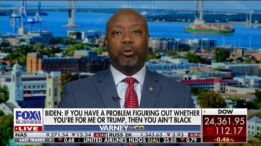 Sen. Tim Scott reacts to Joe Biden's comment on black voters