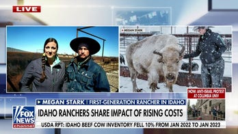 Idaho ranchers report 'drastic' increase in costs over past year and a half