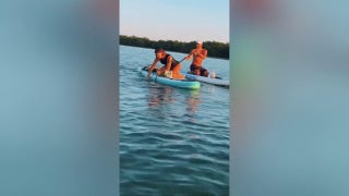 Woman rescues shark entangled in fishing line with her bare hands