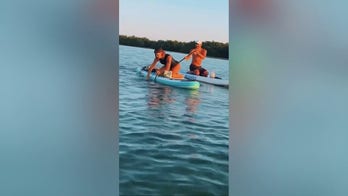 Woman rescues shark entangled in fishing line with her bare hands