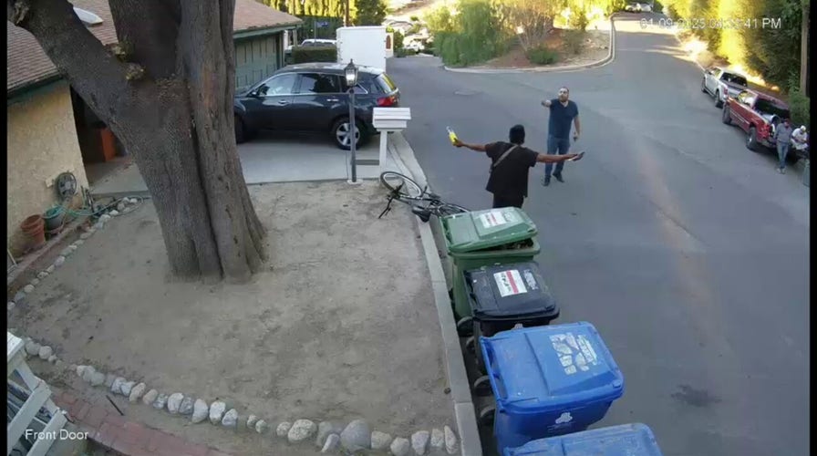 Video shows LA citizens detaining man with blow torch near Kenneth fire