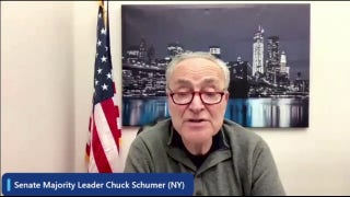 Schumer refers to Nebraska Independent as potential Democrat Senate gain as Obsorn faces dark money scrutiny - Fox News