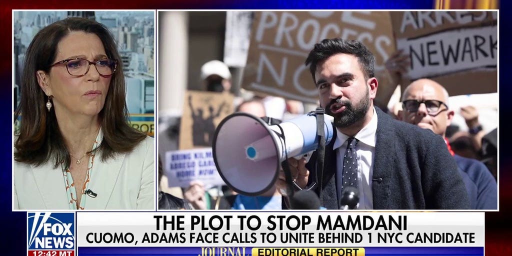 New York Democrats confront Mamdani | Fox News Video