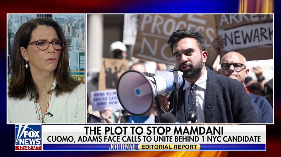 New York Democrats confront Mamdani 