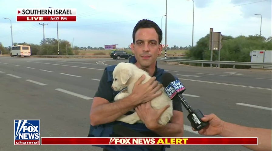 Pets left without families after Hamas attacked communities