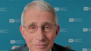 Fauci calls WHO 'flawed organization,' discusses holidays and vaccine - Fox News