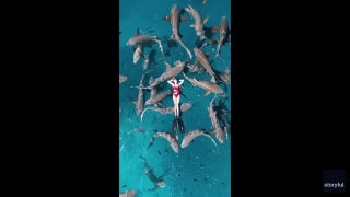 Tourist swims with dozens of sharks surrounding her - Fox News
