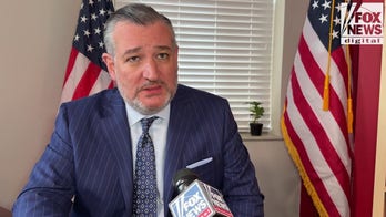 Ted Cruz, on DHS shutdown, urges ‘let's fund ICE for the next decade’