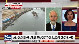 Sen. Johnson on illegal immigration crisis: 'Democrats are destroying this country'  - Fox News