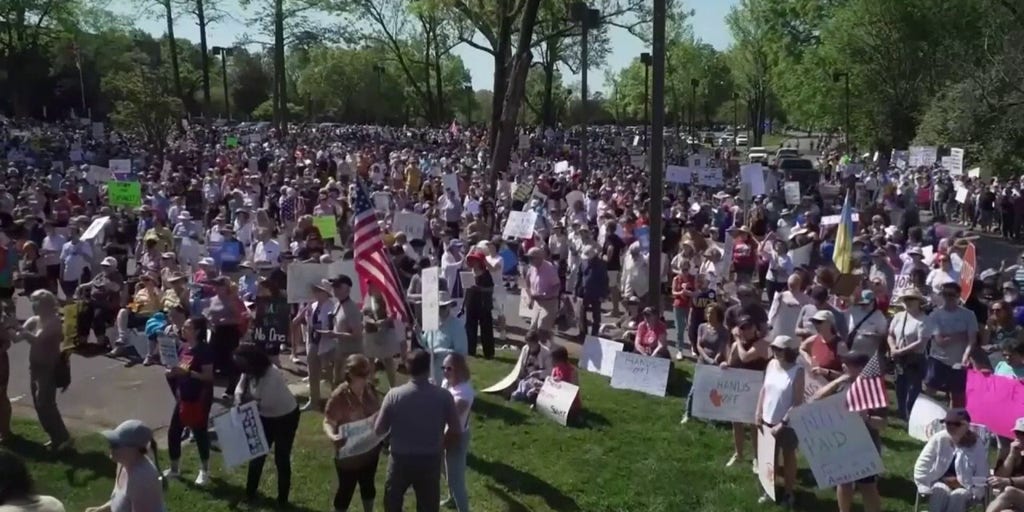 'Hands Off!' protests held in Washington DC, North Carolina