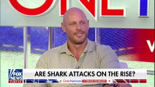 We need to remember that the ocean is the shark's home: Paul de Gelder  - Fox News
