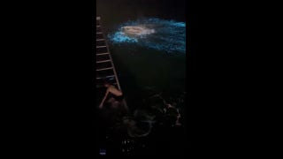 Man's dive results in electric blue water: See the unique video! - Fox News