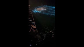 Man's dive results in electric blue water: See the unique video!