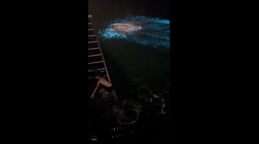Man's dive results in electric blue water: See the unique video!
