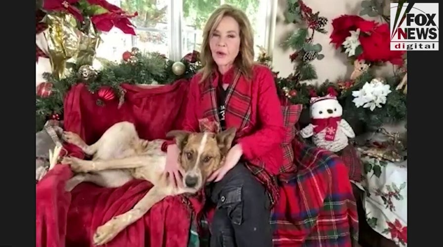 'Exorcist' star Linda Blair had 'no idea' film would become a cult classic