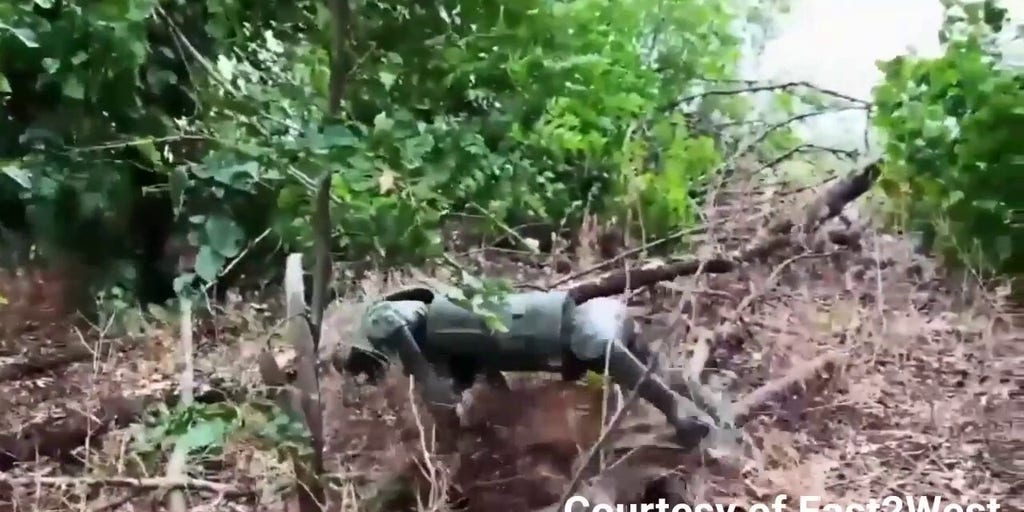 Ukraine utilizes dog robot to gain advantage against Russia