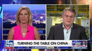 US ‘absolutely’ has enough resources to be rare-earth independent and dominant, claims CEO